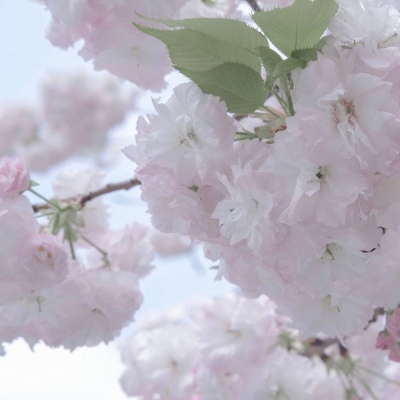 醴陵FurryQQ群介绍